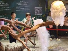 -正佳雨林生态植物园