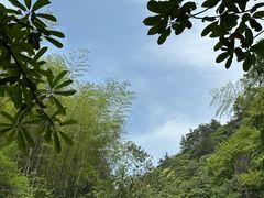 -黄山翡翠谷景区