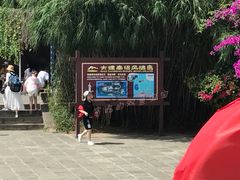 -南诏风情岛