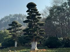 -韶山毛泽东同志故居