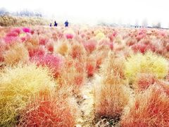 -映月湖中央公园