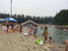 iphone_upload_pic-柳浪游泳场