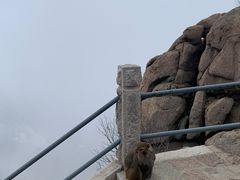 -崂山巨峰游览区