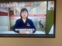 -御宝贝24h宠物医院·转诊中心·CT核磁血透中心(厦门总院)