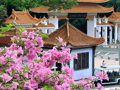 -深圳仙湖植物园-停车场