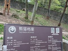 -都江堰中华大熊猫苑