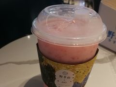 -野萃山·潮汕厚果汁(十亩地店)