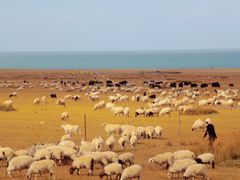 -青海湖国家重点风景名胜区