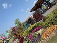 -上海长兴岛郊野公园