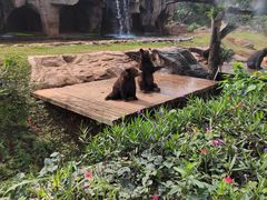 -海南热带野生动植物园
