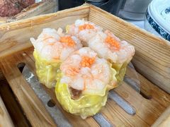 -侨美·唐荔园·40年地道粤菜