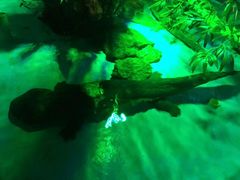 -顺德南宏海立方海洋公园