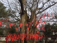 -西湖风景区十里琅珰-五云山