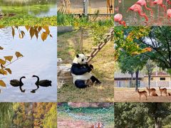 -石家庄市动物园