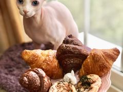 -都恩客(高岛屋百货店)