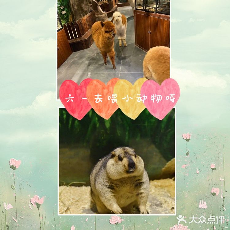 六一带娃去喂小动物吧／团单很优惠哦!
