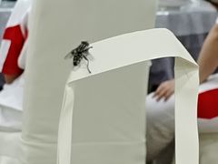 -老孙家饭庄·非遗(东关店)