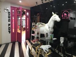 -DOS HOP潮上舞蹈