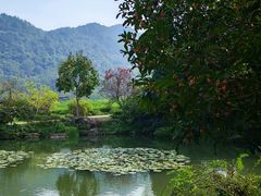 -中国茶叶博物馆(双峰馆区)