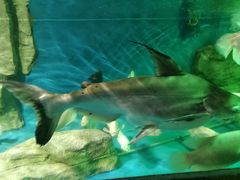 -泉州海丝野生动物世界