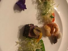 -蝶舍·MAISON PAPILLON