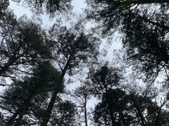 -玉龙雪山蓝月谷