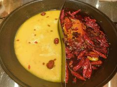-朱光玉火锅馆(正弘城店)