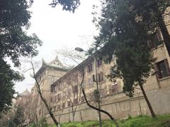 -武汉大学-樱园