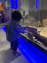-未来动物城动物主题公园(大悦城店)