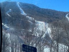 -亚布力新体委滑雪场