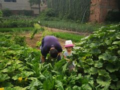 -海底捞火锅(龙湖北京大兴天街店)
