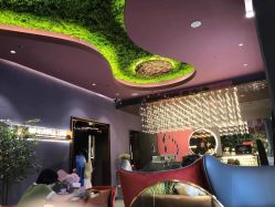 -花隐·美芙炫海菲秀皮肤管理中心