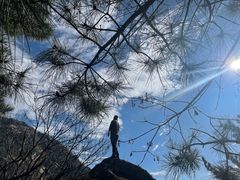 -鲁山国家森林公园