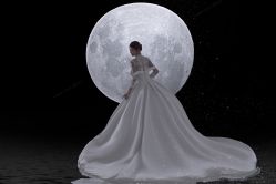 点击看大图 -金夫人婚纱摄影(惠阳店)