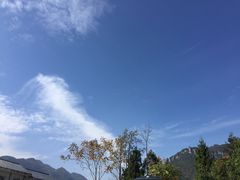 -沪小二炭火蛙锅(淮海中路美食不夜城店)