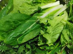 -黔府豆米火锅野菜馆(南马店)