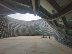 -凤凰中心