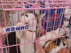 -龙湖南京江北天街