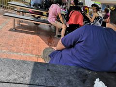 -圣淘沙天际线斜坡滑车