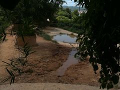 -泉州海丝野生动物世界