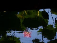 -荔湾湖公园
