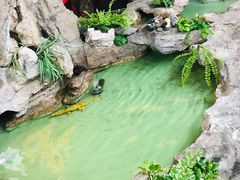 -宜兴隆家宴·私房菜(泰安华庭店)