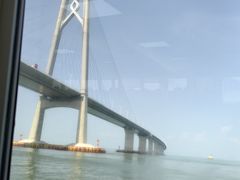 -招商蛇口邮轮母港(观光客运)