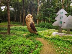 -东平国家森林公园