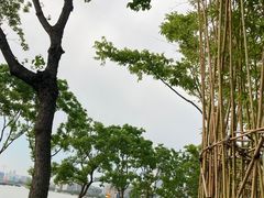 -上海山野camping·户外天幕烧烤·团建拓展营地