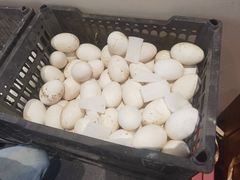 -单家老院·院子里的青岛菜(沙子口店)