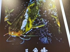 -蛙一刀·麻椒鱼火锅(金仙桥店)