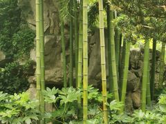 -静安公园(静安寺街道)