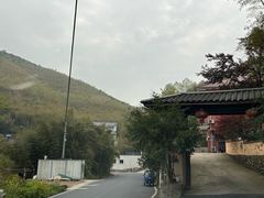 -莫干山风景区