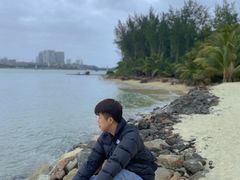 -东郊椰林